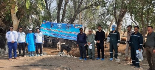 مصاحبه با مسئولان گزارشی از اردوی جهادی دامپزشکی در منطقه دشت پلنگ شهرستان دشتی 